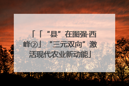 「“县”在图强·西峰②」“三元双向”激活现代农业新动能