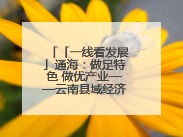 「一线看发展」通海：做足特色 做优产业——云南县域经济样本观察之二