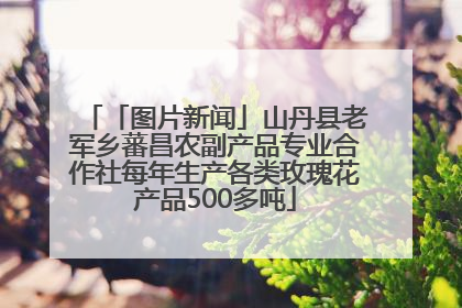 「图片新闻」山丹县老军乡蕃昌农副产品专业合作社每年生产各类玫瑰花产品500多吨