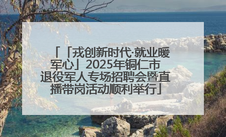 「戎创新时代·就业暖军心」2025年铜仁市退役军人专场招聘会暨直播带岗活动顺利举行