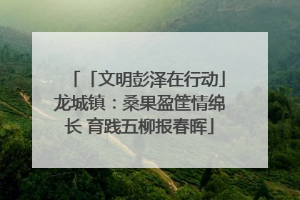 「文明彭泽在行动」龙城镇：桑果盈筐情绵长 育践五柳报春晖