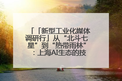 「新型工业化媒体调研行」从“北斗七星”到“热带雨林”：上海AI生态的技术商业共生密码