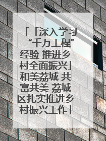 「深入学习“千万工程”经验 推进乡村全面振兴」和美荔城 共富共美 荔城区扎实推进乡村振兴工作