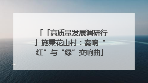 「高质量发展调研行」施秉花山村：奏响“红”与“绿”交响曲