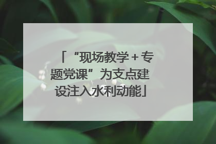 “现场教学＋专题党课”为支点建设注入水利动能