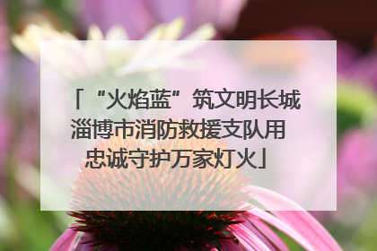 “火焰蓝”筑文明长城 淄博市消防救援支队用忠诚守护万家灯火