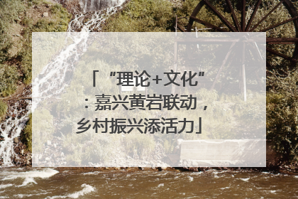 “理论+文化”：嘉兴黄岩联动，乡村振兴添活力