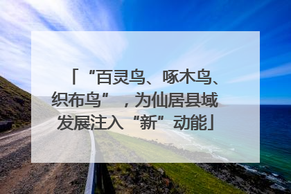 “百灵鸟、啄木鸟、织布鸟”，为仙居县域发展注入“新”动能