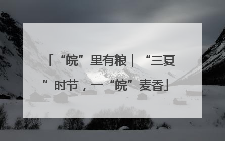 “皖”里有粮｜“三夏”时节，一“皖”麦香