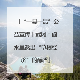 “一县一品”公益宣传丨武冈：卤水里熬出“草根经济”的醇香