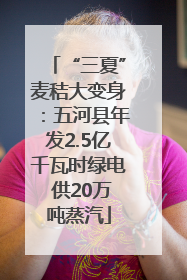 “三夏”麦秸大变身：五河县年发2.5亿千瓦时绿电 供20万吨蒸汽