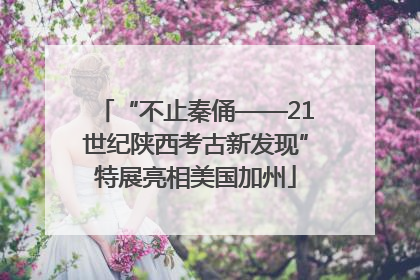 “不止秦俑——21世纪陕西考古新发现”特展亮相美国加州