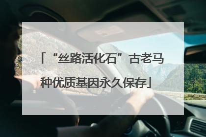 “丝路活化石”古老马种优质基因永久保存