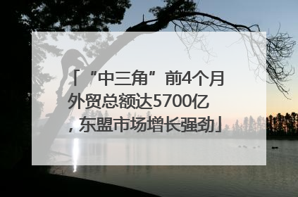 “中三角”前4个月外贸总额达5700亿，东盟市场增长强劲