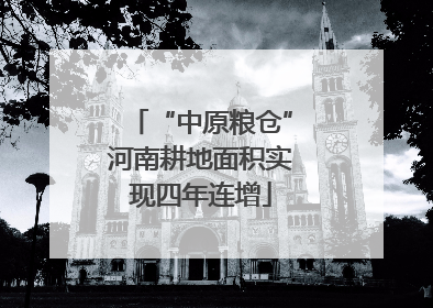 “中原粮仓”河南耕地面积实现四年连增