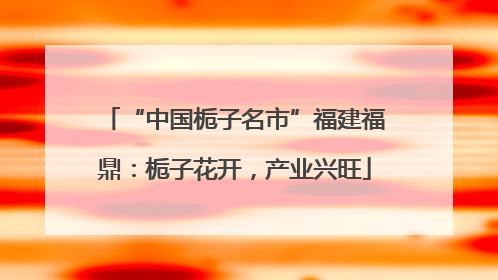 “中国栀子名市”福建福鼎：栀子花开，产业兴旺