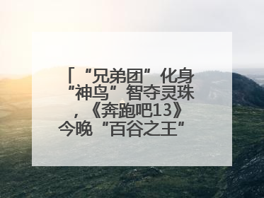 “兄弟团”化身“神鸟”智夺灵珠，《奔跑吧13》今晚“百谷之王”花落谁家？