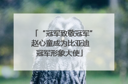 “冠军致敬冠军” 赵心童成为比亚迪冠军形象大使