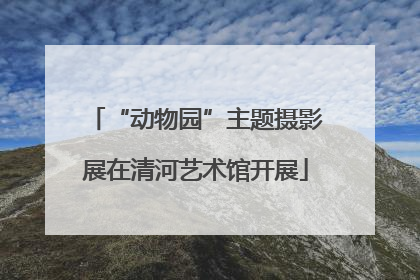 “动物园”主题摄影展在清河艺术馆开展
