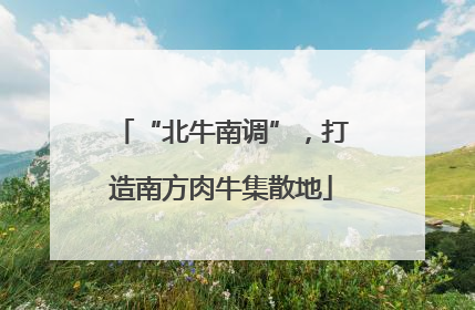 “北牛南调”，打造南方肉牛集散地