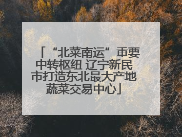 “北菜南运”重要中转枢纽 辽宁新民市打造东北最大产地蔬菜交易中心