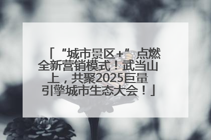 “城市景区+”点燃全新营销模式！武当山上，共聚2025巨量引擎城市生态大会！