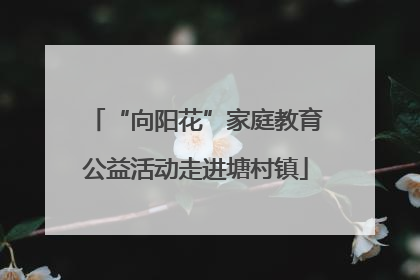 “向阳花”家庭教育公益活动走进塘村镇