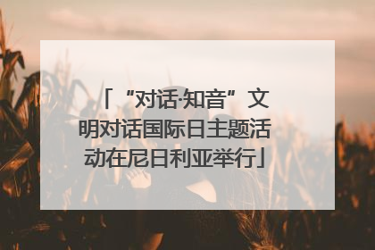 “对话·知音”文明对话国际日主题活动在尼日利亚举行