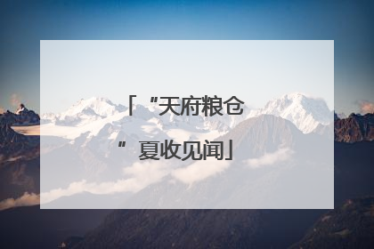 “天府粮仓”夏收见闻