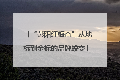 “彭阳红梅杏”从地标到金标的品牌蜕变