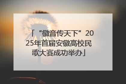“徽音传天下”2025年首届安徽高校民歌大赛成功举办