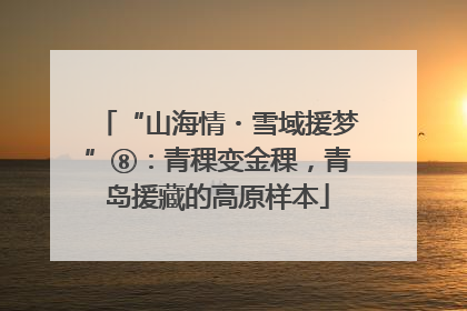 “山海情・雪域援梦”⑧：青稞变金稞，青岛援藏的高原样本