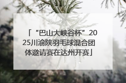 “巴山大峡谷杯”2025川渝陕羽毛球混合团体邀请赛在达州开赛