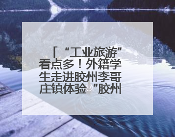 “工业旅游”看点多！外籍学生走进胶州李哥庄镇体验“胶州智造”