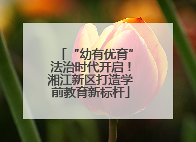 “幼有优育”法治时代开启！湘江新区打造学前教育新标杆