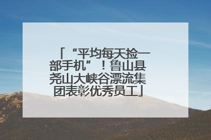“平均每天捡一部手机”！鲁山县尧山大峡谷漂流集团表彰优秀员工