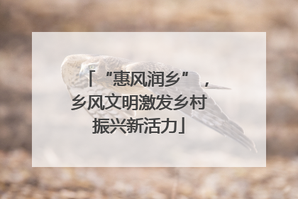 “惠风润乡”，乡风文明激发乡村振兴新活力
