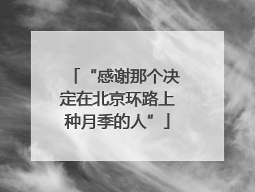 “感谢那个决定在北京环路上种月季的人”