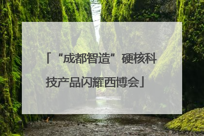 “成都智造”硬核科技产品闪耀西博会
