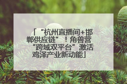 “杭州直播间+邯郸供应链”！角兽营“跨域双平台”激活鸡泽产业新动能