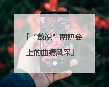 “数说”南博会上的曲靖风采