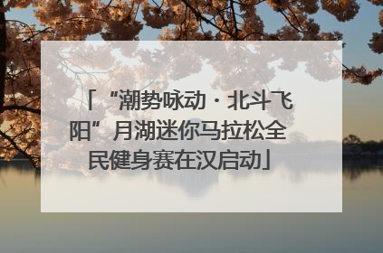“潮势咏动・北斗飞阳”月湖迷你马拉松全民健身赛在汉启动