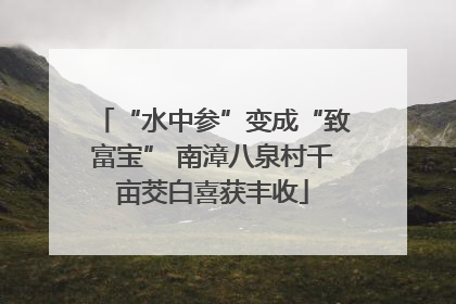 “水中参”变成“致富宝” 南漳八泉村千亩茭白喜获丰收