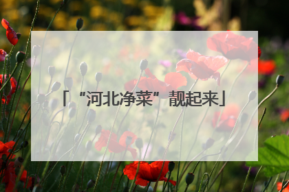 “河北净菜”靓起来