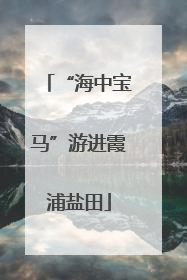 “海中宝马”游进霞浦盐田