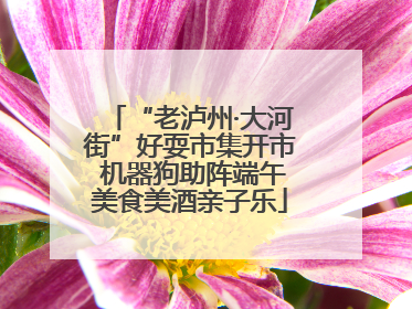 “老泸州·大河街”好耍市集开市 机器狗助阵端午美食美酒亲子乐
