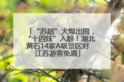 “苏超”火爆出圈，“十四妹”入群！湖北黄石14家A级景区对江苏游客免票