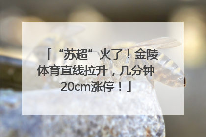 “苏超”火了！金陵体育直线拉升，几分钟20cm涨停！