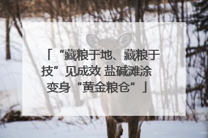 “藏粮于地、藏粮于技”见成效 盐碱滩涂变身“黄金粮仓”