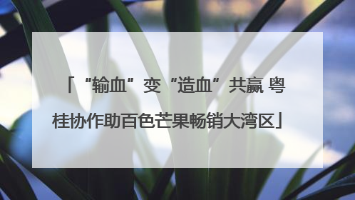 “输血”变“造血”共赢 粤桂协作助百色芒果畅销大湾区